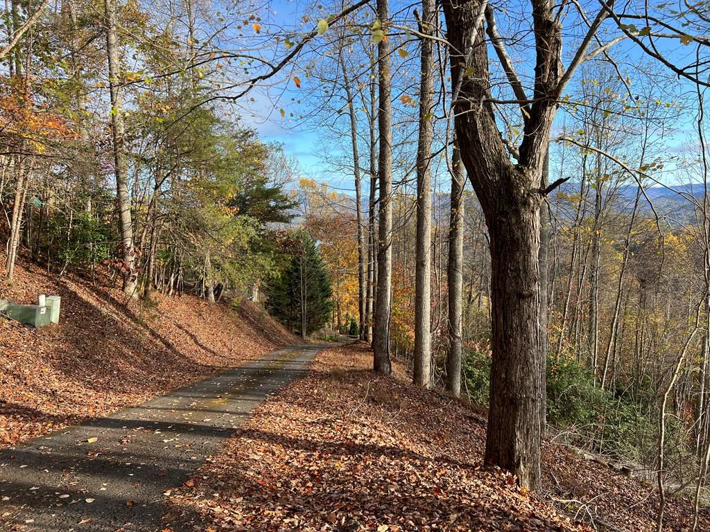 Hiawassee, GA 30546,Tract 1 Hidden Summit Road