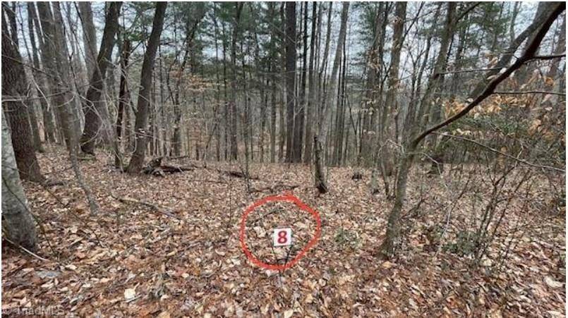 Stuart, VA 24171,Lot 8 Woods Haven Lane
