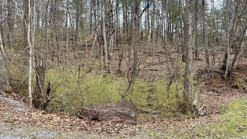 Wytheville, VA 24382,TBD Cherry Blossom Lane