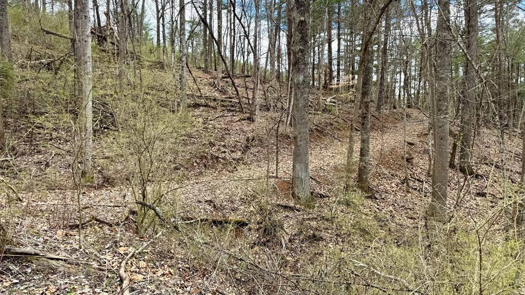 Wytheville, VA 24382,TBD Cherry Blossom Lane