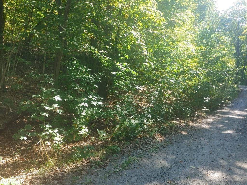 Seguin, ON P2A 2W8,N/A Johnston RD