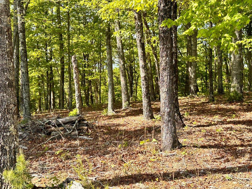 Hayesville, NC 28904,Lot 16 Settawig Overlook