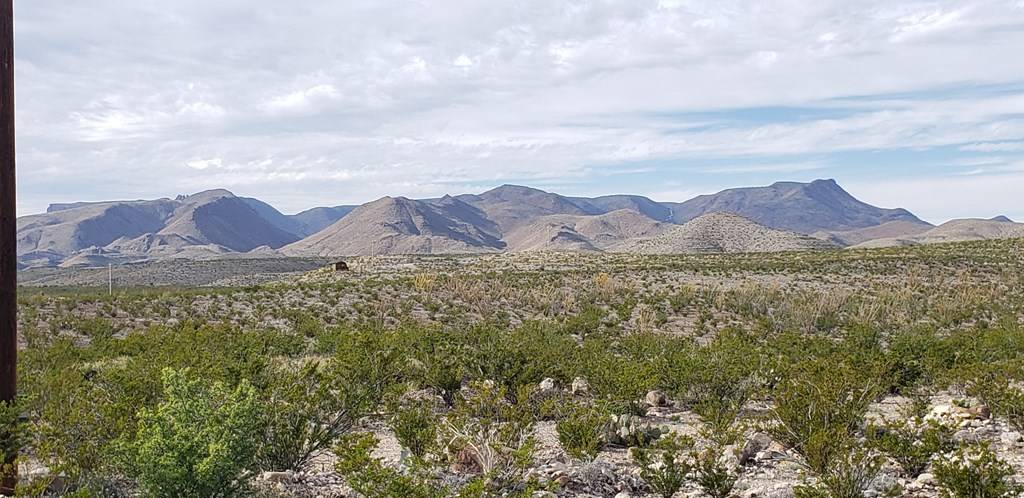 Terlingua, TX 79852,C261 Panther