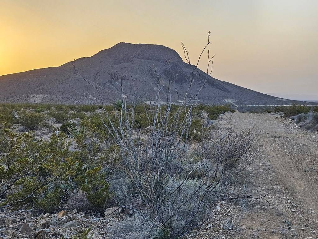 Terlingua, TX 79852,5239 Black Hill Rd