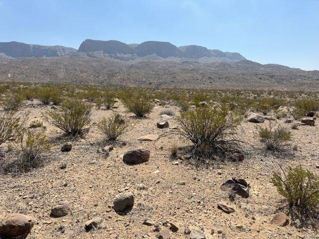 Alpine, TX 79830,19486 Avid
