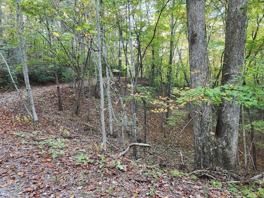 Mineral Bluff, GA 30559,0 North View Trail