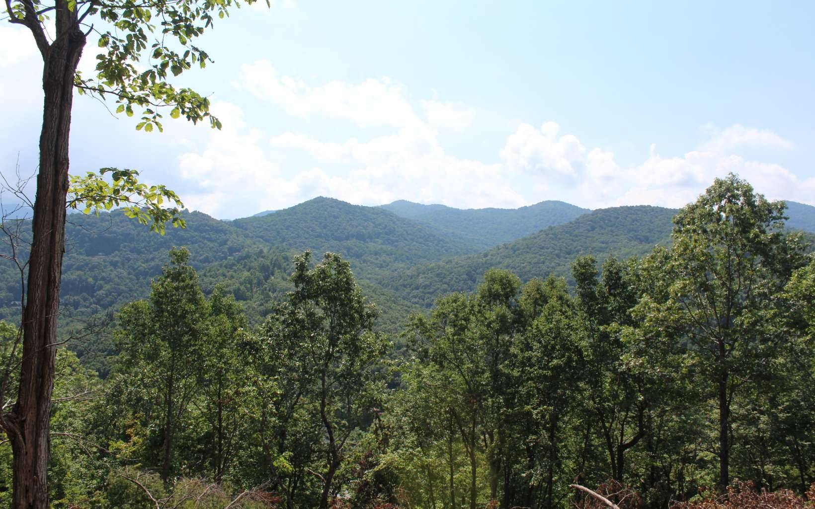 Hayesville, NC 28904,135 Shiloh Ridge