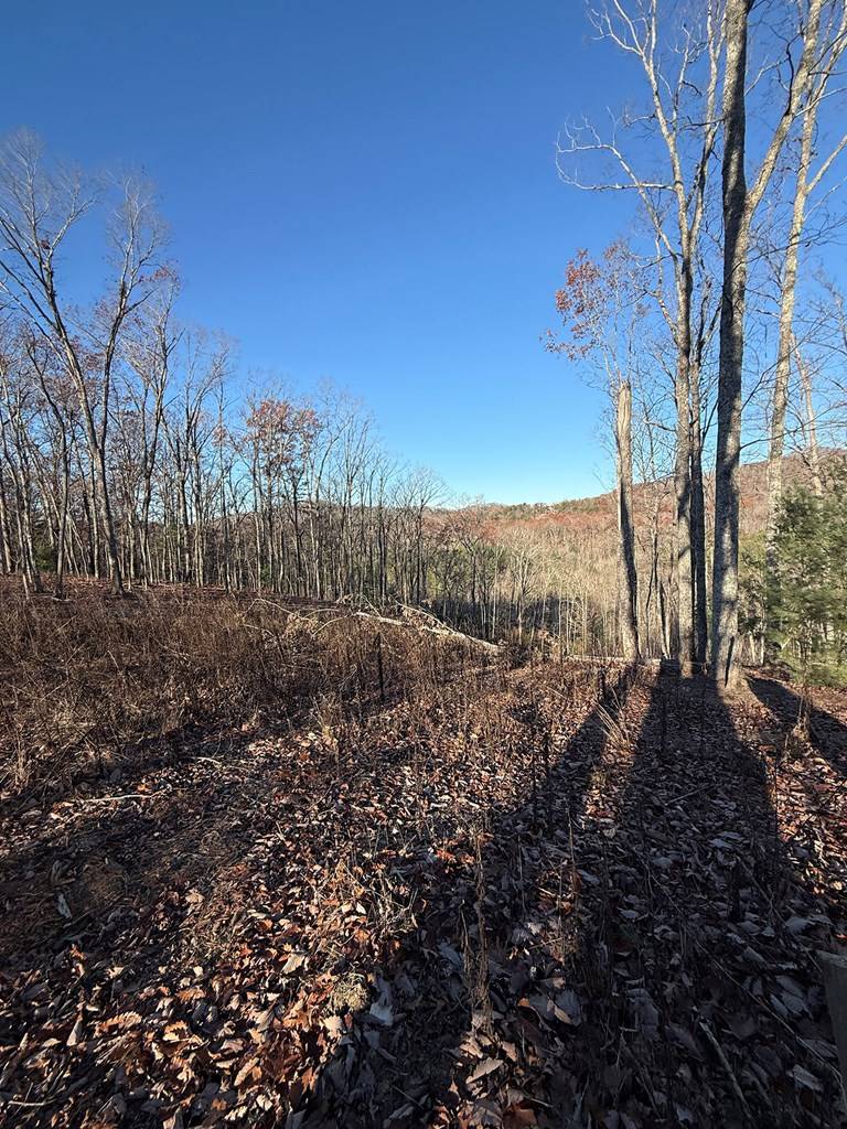 Mineral Bluff, GA 30559,Lot 5 Salem Ridge Estates