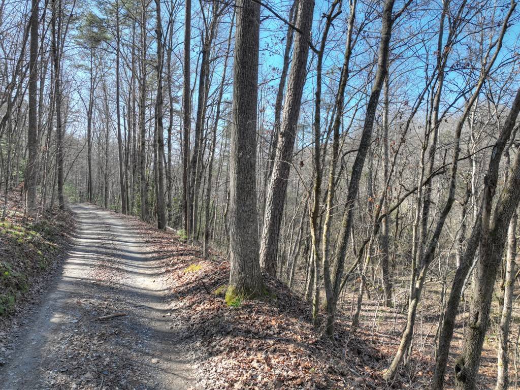 Mineral Bluff, GA 30559,0 Arp Road