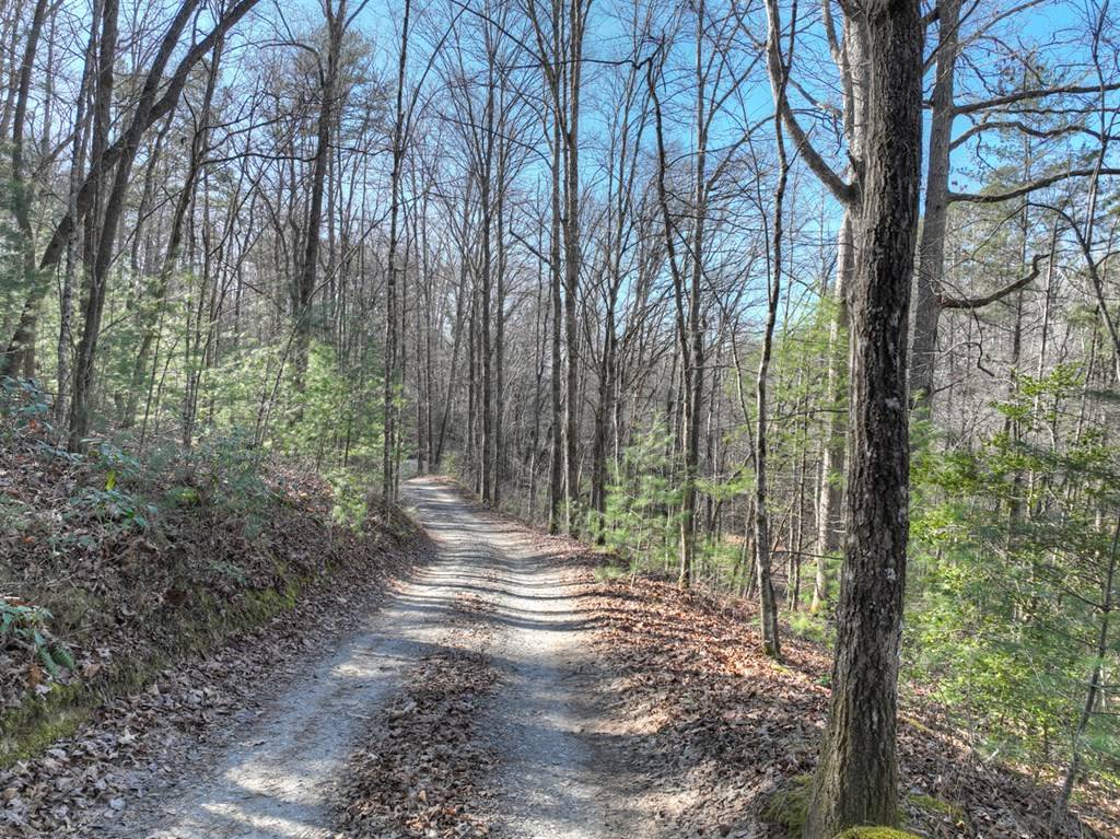 Mineral Bluff, GA 30559,0 Arp Road