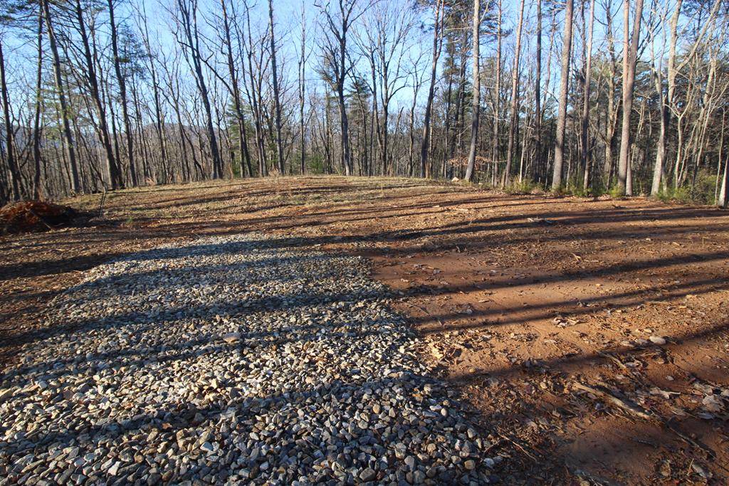 Blue Ridge, GA 30513,LOT 10 Johnston Road