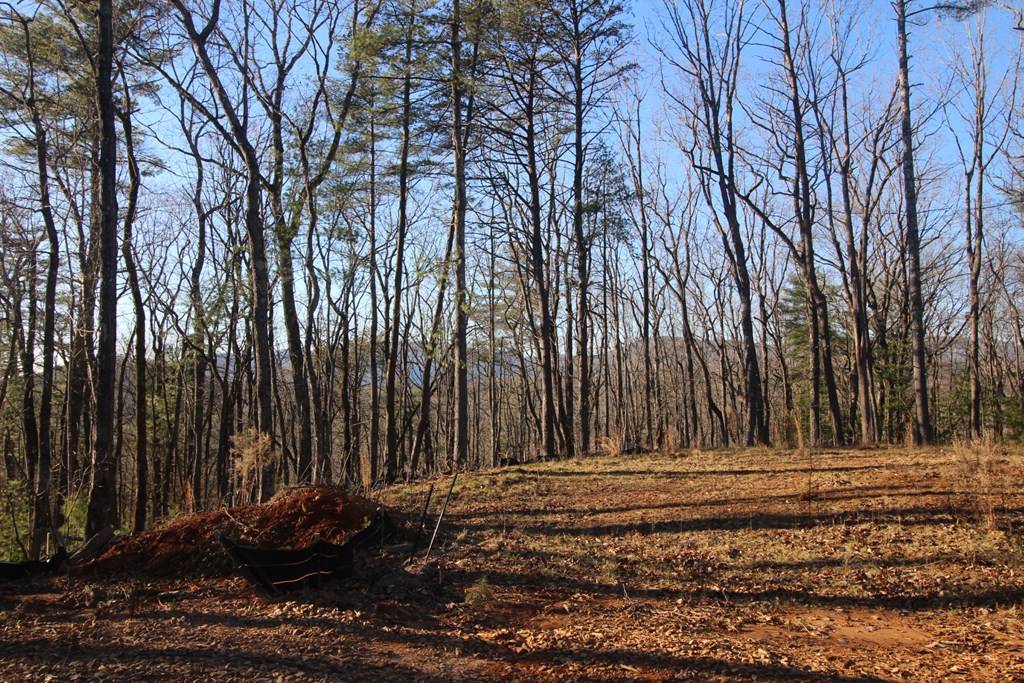 Blue Ridge, GA 30513,LOT 10 Johnston Road