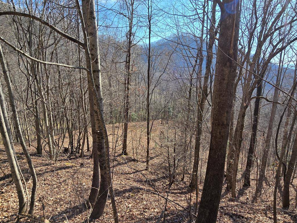 Hayesville, NC 28904,Lot 11 High Meadows