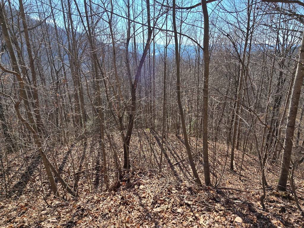 Hayesville, NC 28904,Lot 11 High Meadows