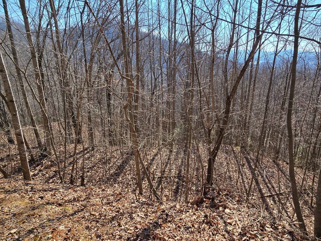 Hayesville, NC 28904,Lot 11 High Meadows