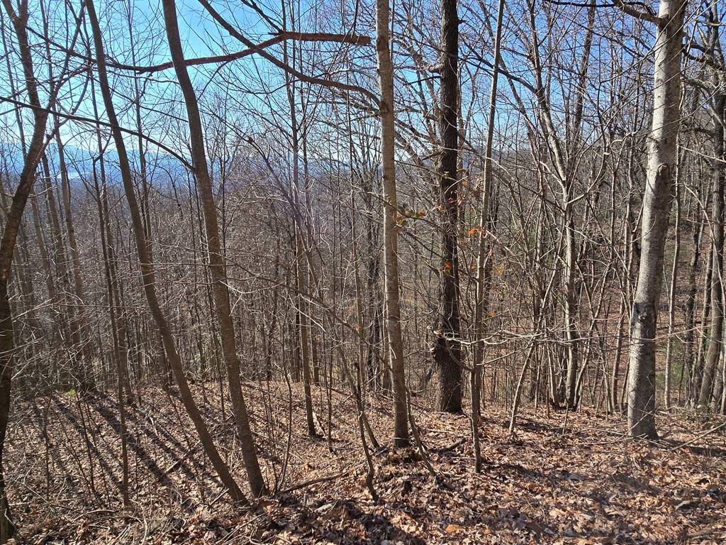 Hayesville, NC 28904,Lot 11 High Meadows