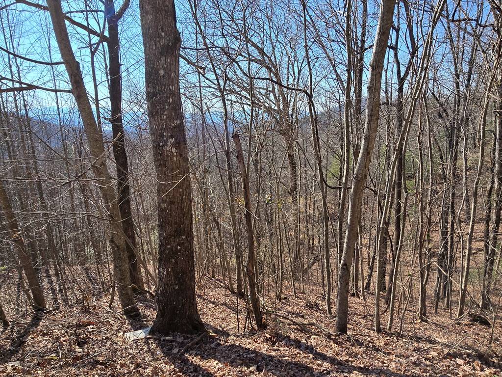 Hayesville, NC 28904,Lot 11 High Meadows
