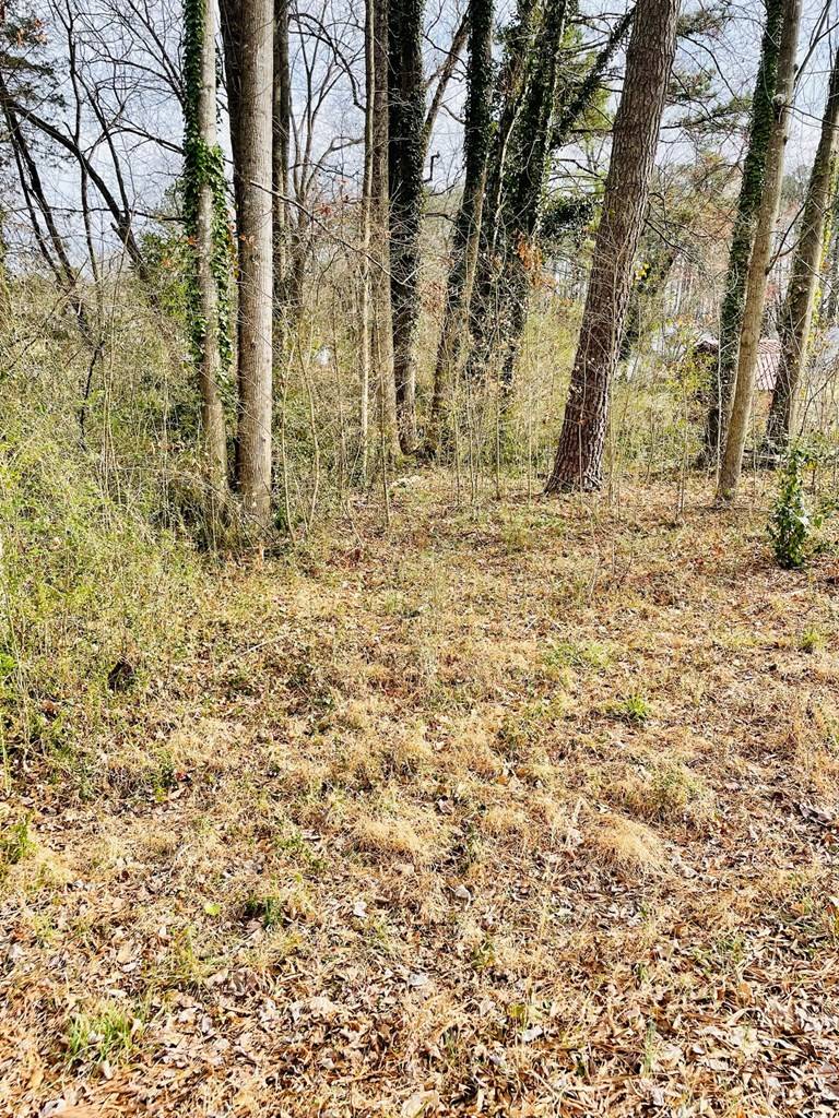 South Hill, VA 23970,Robertson Street
