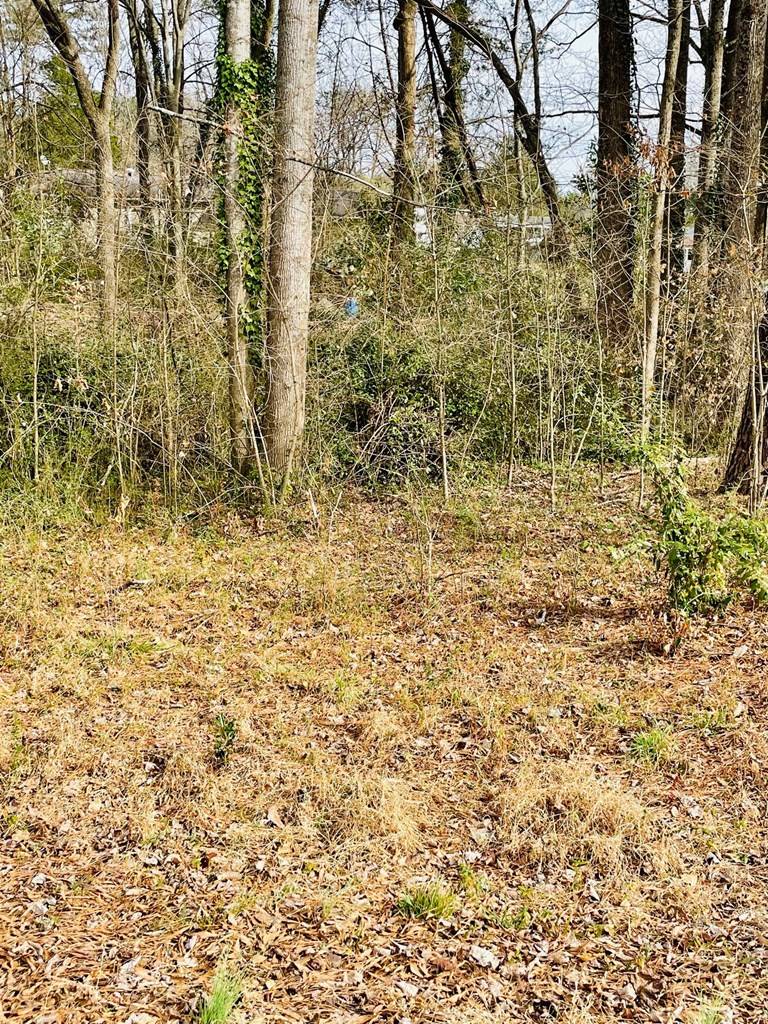 South Hill, VA 23970,Robertson Street