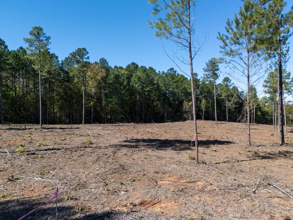 Lawrenceville, VA 23868,1.41 AC Millville Road
