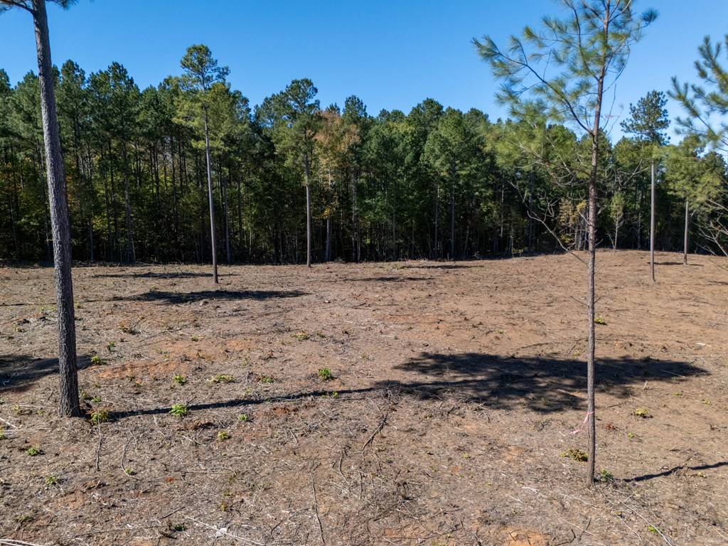 Lawrenceville, VA 23868,1.41 AC Millville Road