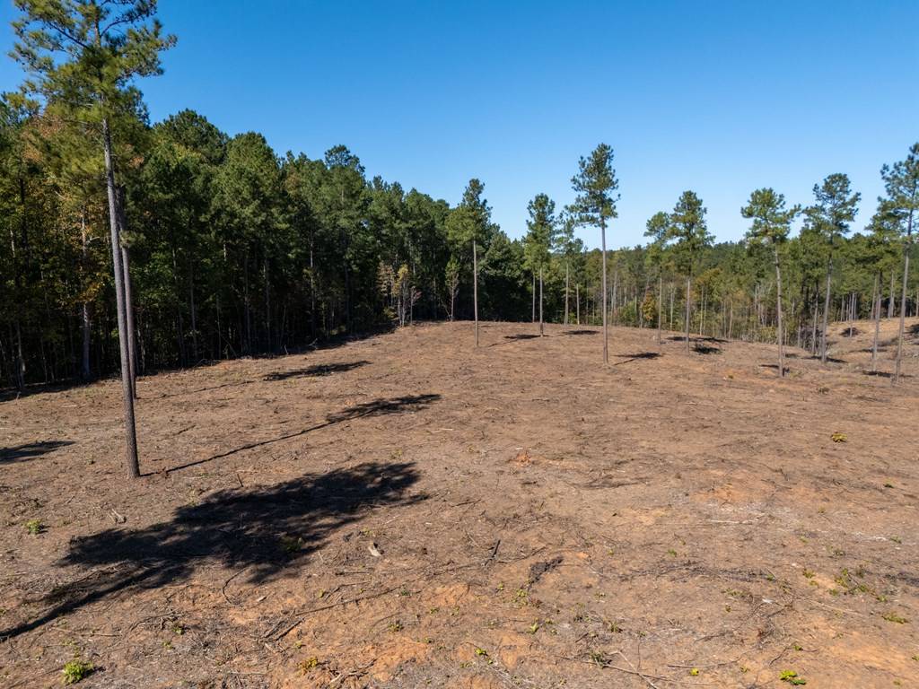 Lawrenceville, VA 23868,1.41 AC Millville Road