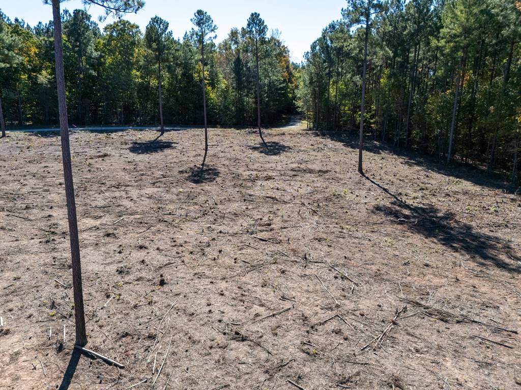 Lawrenceville, VA 23868,1.41 AC Millville Road