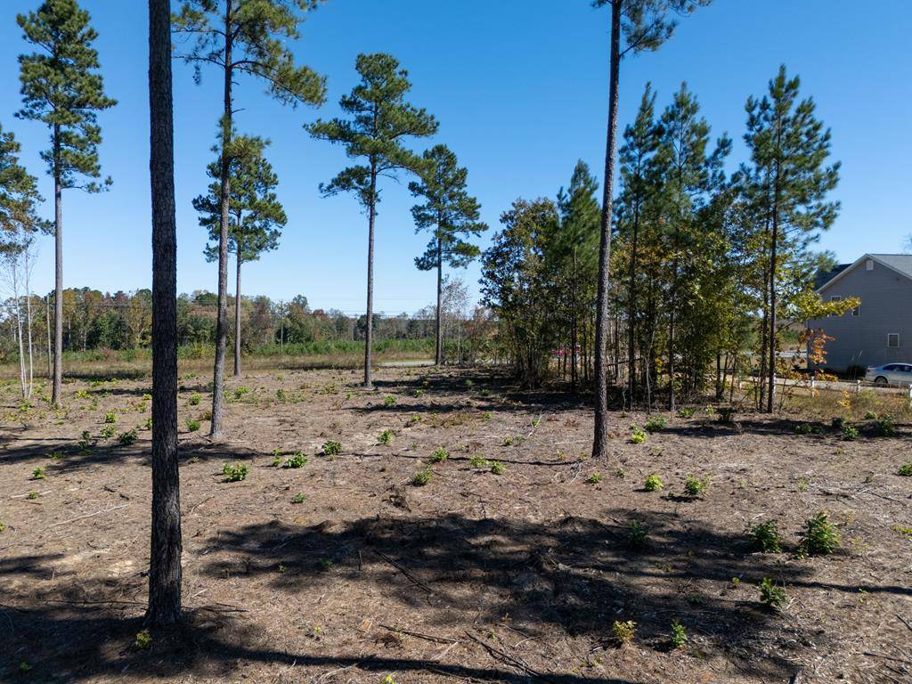 Lawrenceville, VA 23868,1.04 AC Christanna Highway