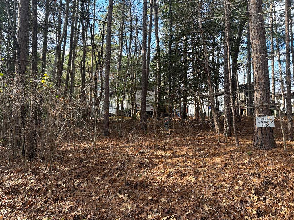 Bracey, VA 23919,57 Mallard Trail