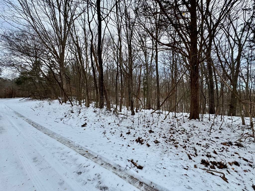 Buffalo Junction, VA 24529,Lot 21 Kingswood Road