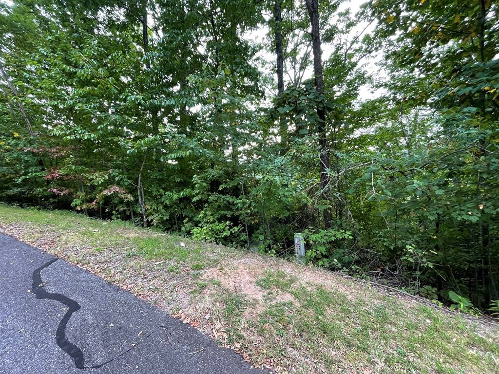 Hayesville, NC 29804,Lot 32 J Mountain Harbour Lot