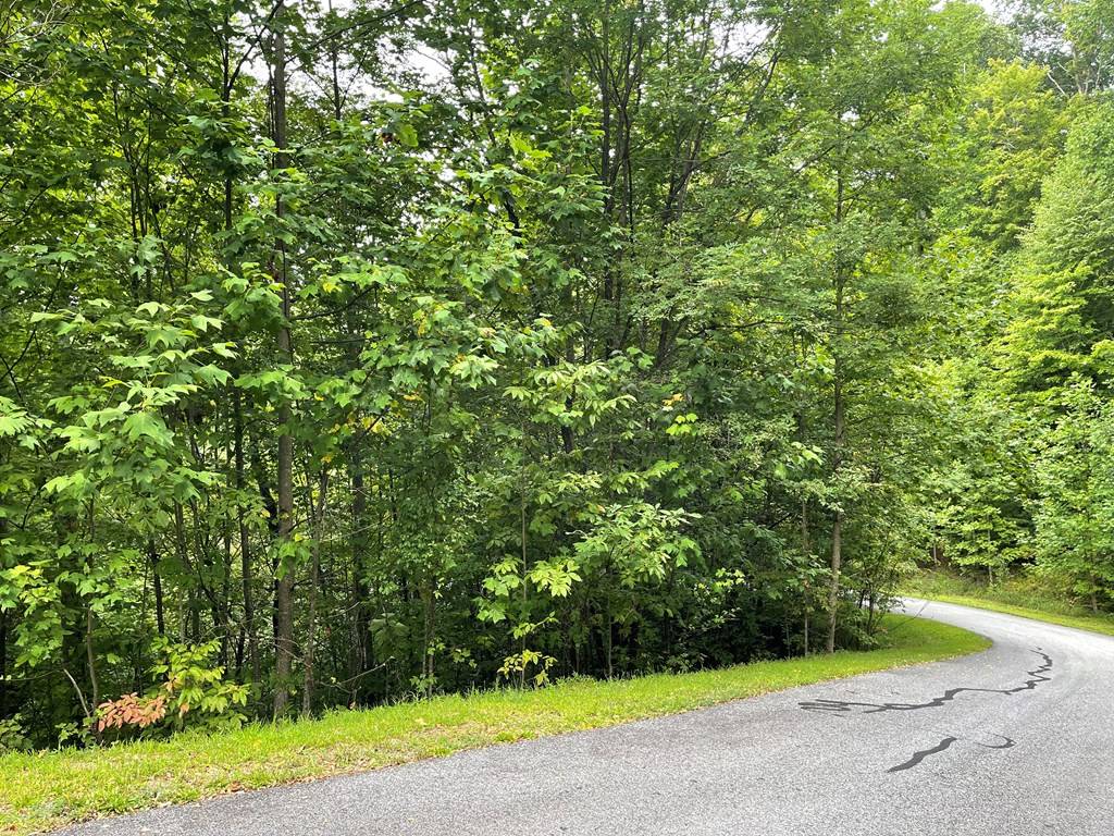 Hayesville, NC 29804,Lot 32 J Mountain Harbour Lot