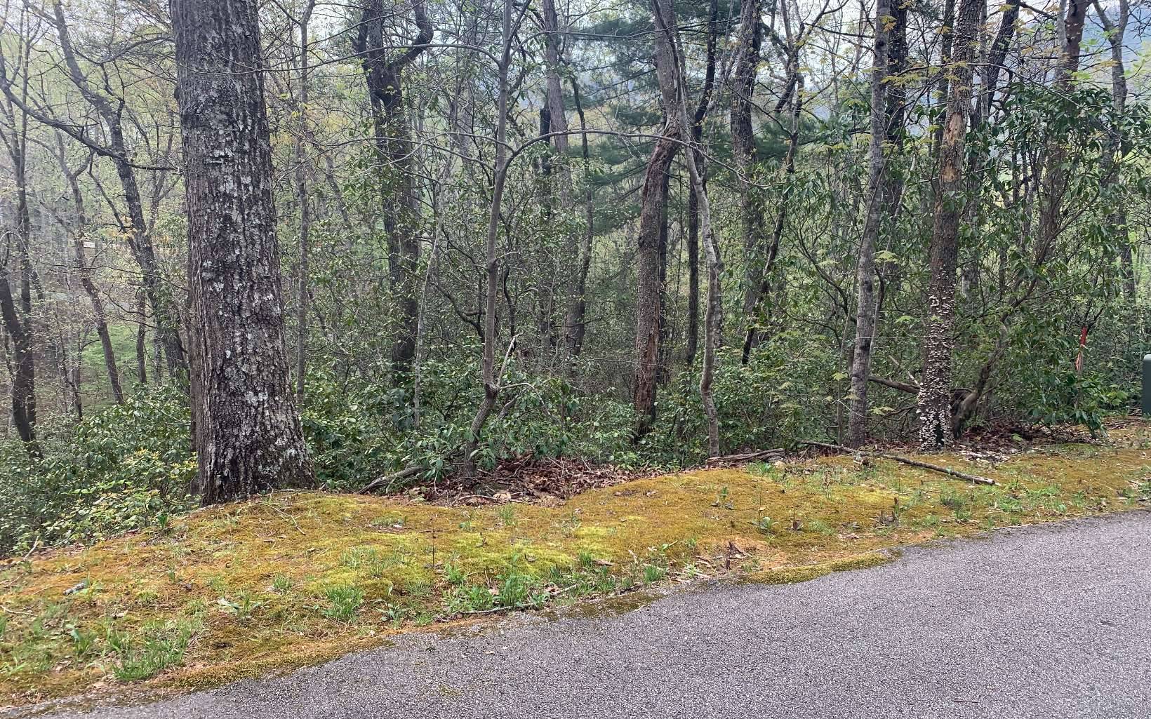 Clayton, GA 30525,TR B St Andrews Way