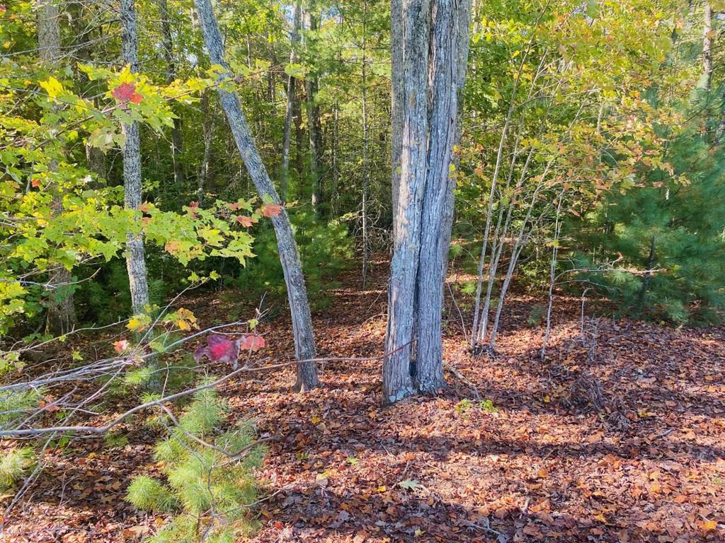 Murphy, NC 28906,Lot 34 Point Overlook Trail