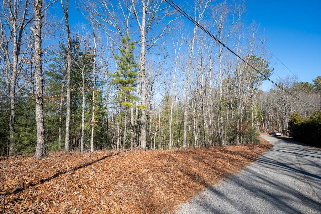 Blue Ridge, GA 30513,Lot 27 Ridge Road