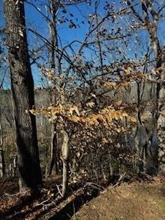 Bracey, VA 23919,Lot 78 Claiborne Drive