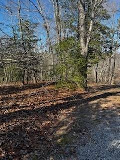 Bracey, VA 23919,Lot 78 Claiborne Drive