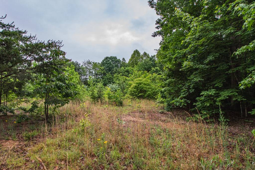 Dillwyn, VA 23936,247 Shady View Drive