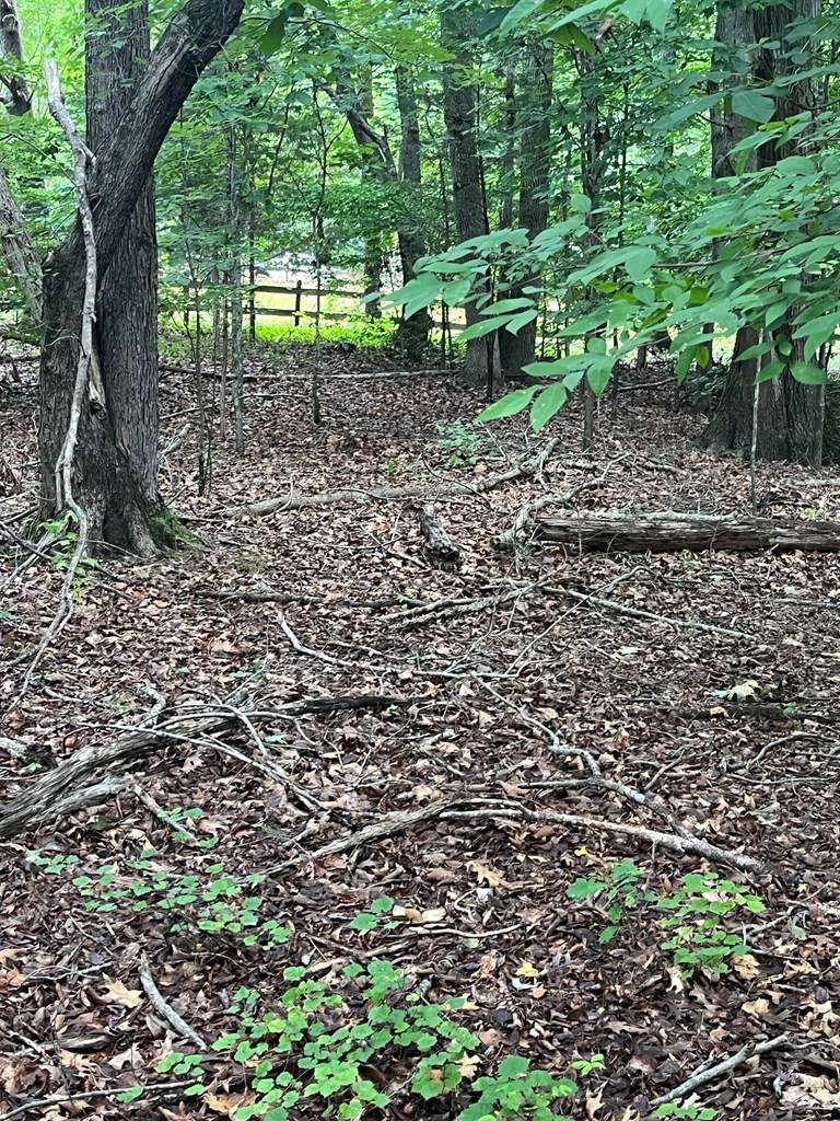 Clarksville, VA 23927,Lot 20 West Point Drive