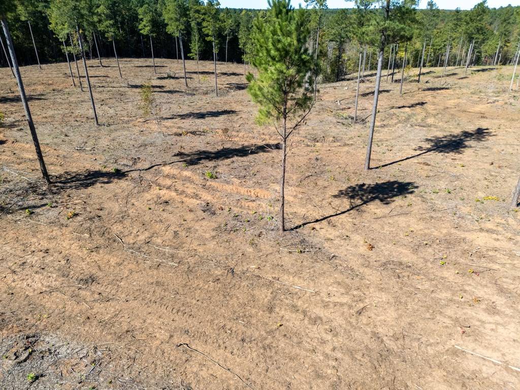 Lawrenceville, VA 23868,1.08 AC Millville Road