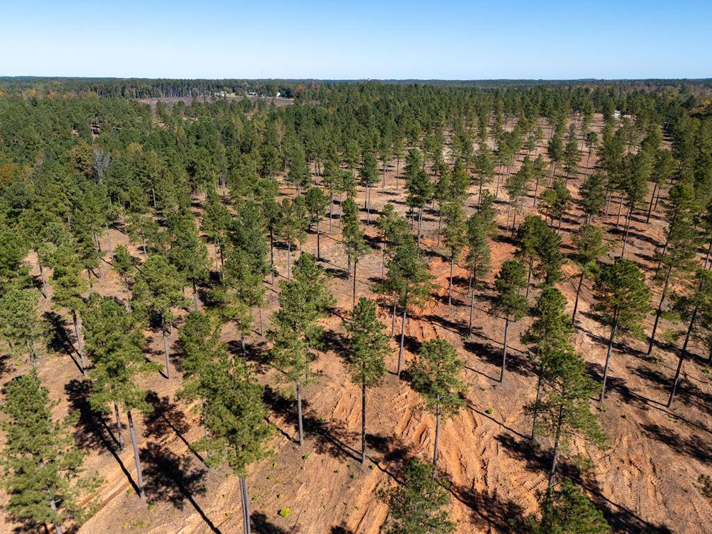 Lawrenceville, VA 23868,107.71AC Millville Road