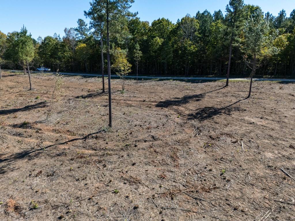 Lawrenceville, VA 23868,107.71AC Millville Road