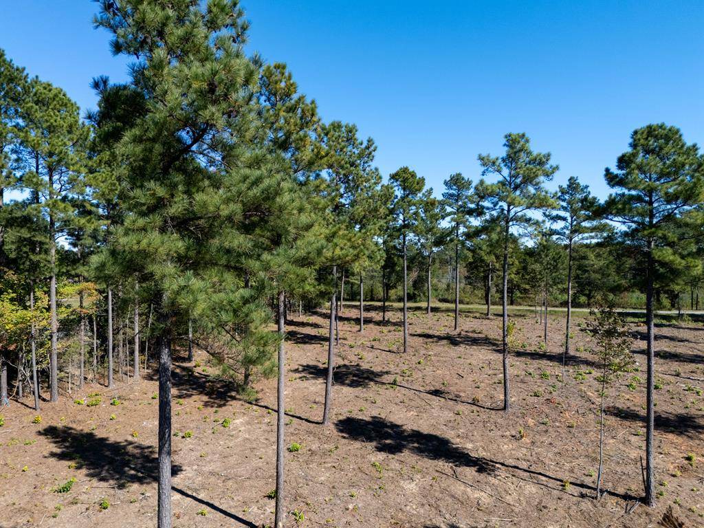 Lawrenceville, VA 23868,1.1 AC Christanna Highway