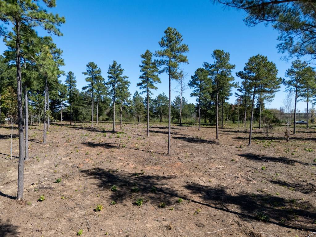 Lawrenceville, VA 23868,1.1 AC Christanna Highway