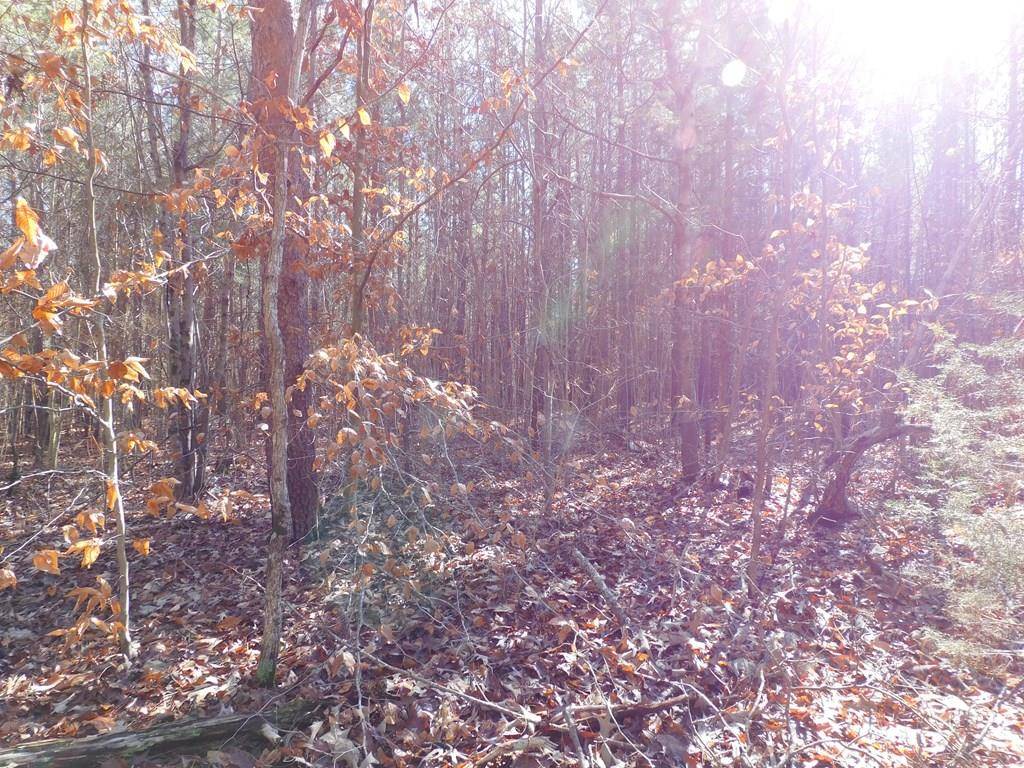 Nathalie, VA 24577,53.22 Rock Barn Road