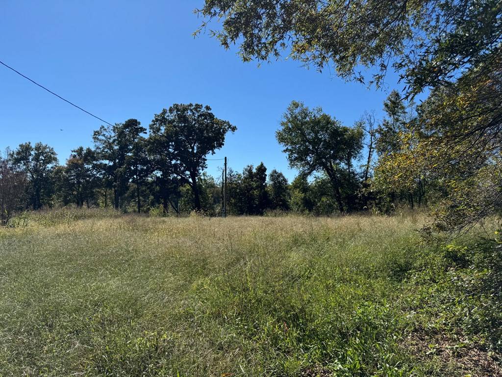 Nathalie, VA 24577,1190 Canada Lane