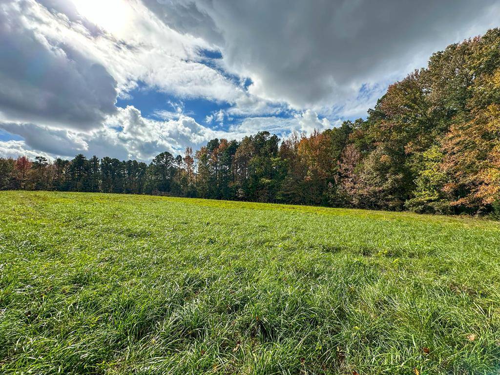 Buffalo Junction, VA 24529,691 Strawberry Lane