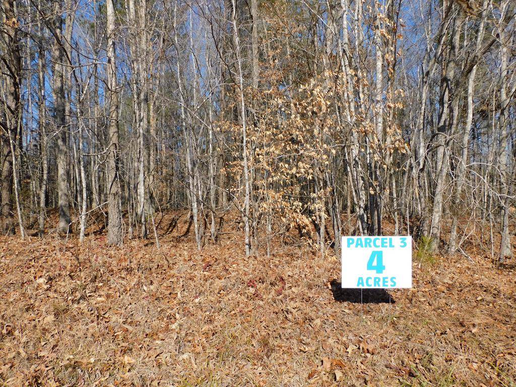 Nathalie, VA 24577,4.00 Coleman Trail