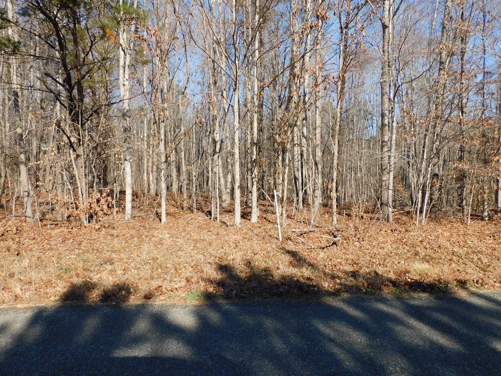 Nathalie, VA 24577,4.00 Coleman Trail