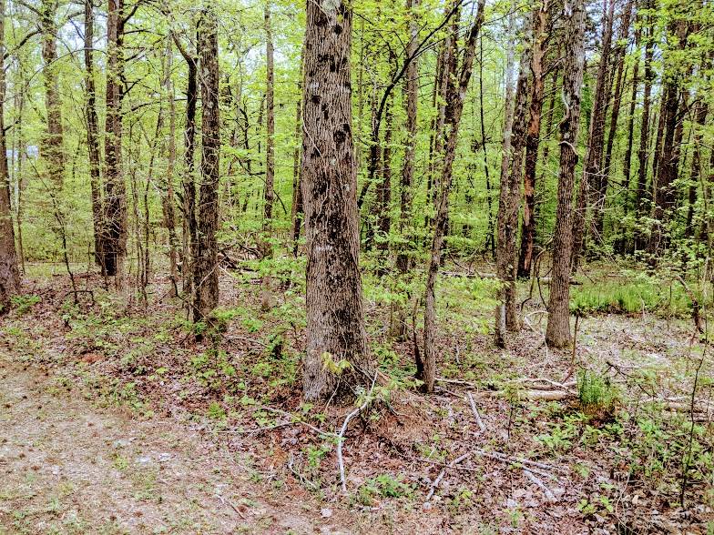 Clarksville, VA 23927,Occoneechee Drive